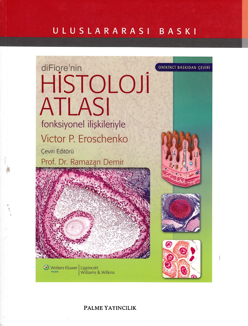 diFiore’nin Histoloji Atlası