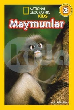 Maymunlar