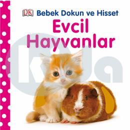 Evcil Hayvanlar (Ciltli)