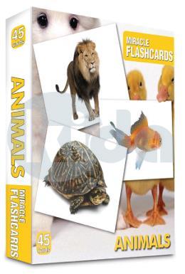 Miracle Flashcards Animals