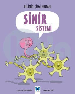 Sinir Sistemi