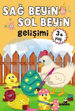 Sağ Beyin-Sol Beyin Gelişimi 3+ Yaş