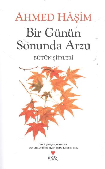 Bir Günün Sonunda Arzu