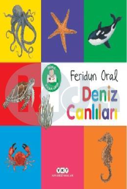 Minik Kitaplarım Deniz Canlıları