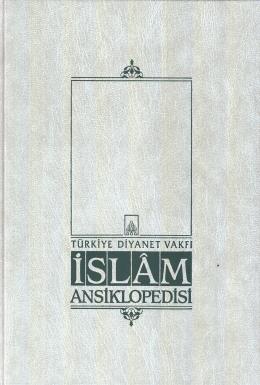 İslam Ansiklopedisi 39. Cilt (Şerif Paşa - Tanzanya)