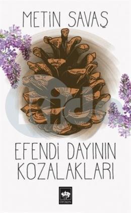 Efendi Dayının Kozalakları